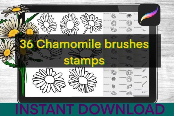 Elevate Your Digital Florals with Chamomile Brushes Procreate Stamps