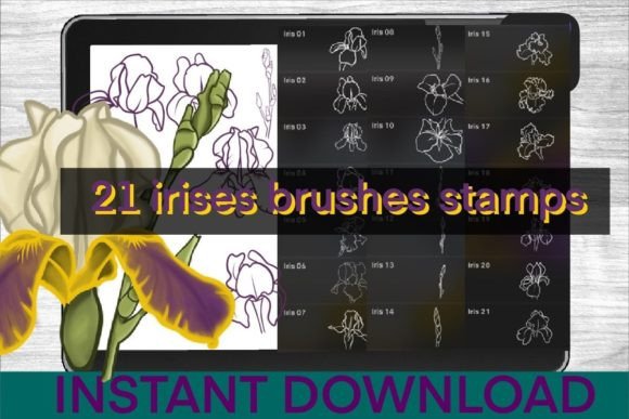 Irises Brushes Procreate Stamps Guide